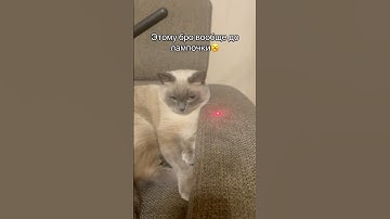 Тгк: Понимаев ты че делаешь #m5stickc #flipperzerohacking #рек #fypシ゚