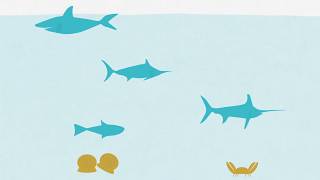 Food and drink to avoid during pregnancy screenshot 4