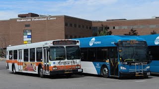 Transit action in Mississauga 1 (Compilation video)