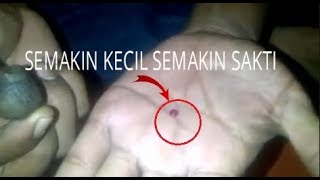 7 BENDA SAKTI PALING DI CARI DI INDONESIA