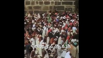 تلاوة الشيخ : سعد الغامدي 💚 ( وَأَذِّن فِي النَّاسِ بِالْحَجِّ )