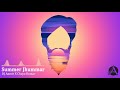 Summer Jhummar | DJ Aamir | Chaya Kumar | BFunk