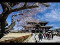 大阪京都自由行日日