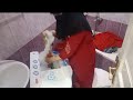 البيت الذي تمارس فيه الدجاجه عمل الديك مصيره الخراب روتين اليومي اميره نجم