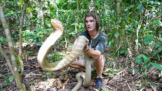 Worlds Most VENOMOUS Snakes DOCUMENTARY! (King Cobra/Inland Taipan/Reticulated Python) by Miller Wilson 108,816 views 3 months ago 52 minutes