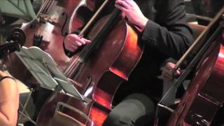 Stravinsky Rite of Spring (part 2)