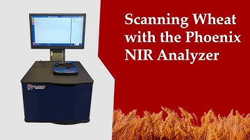 Scanning Wheat on the Phoenix Top Window NIR Analyzer