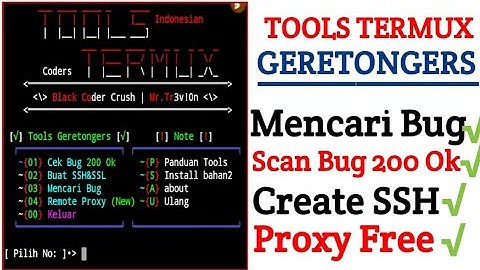 Cara mencari bug dan cara scan bug 200 Ok lewat Tools Geretongers menggunakan apk termux 100% work