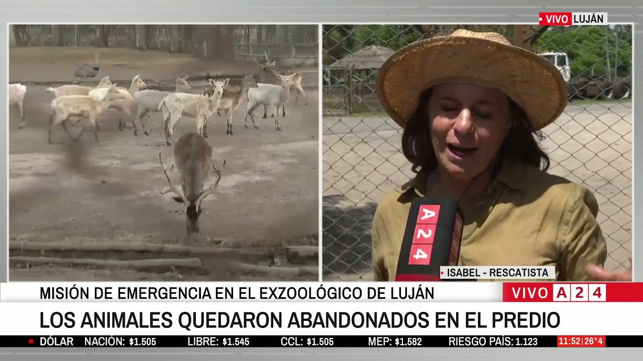 🔴 MISIÓN RESCATE EN EL ZOOLÓGICO DE LUJÁN: 60 FELINOS, 2 OSOS ESPERANDO SER RESCATADOS