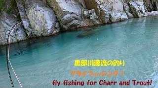 奥黒部釣行!【フライフィッシング】Fly fishing japan