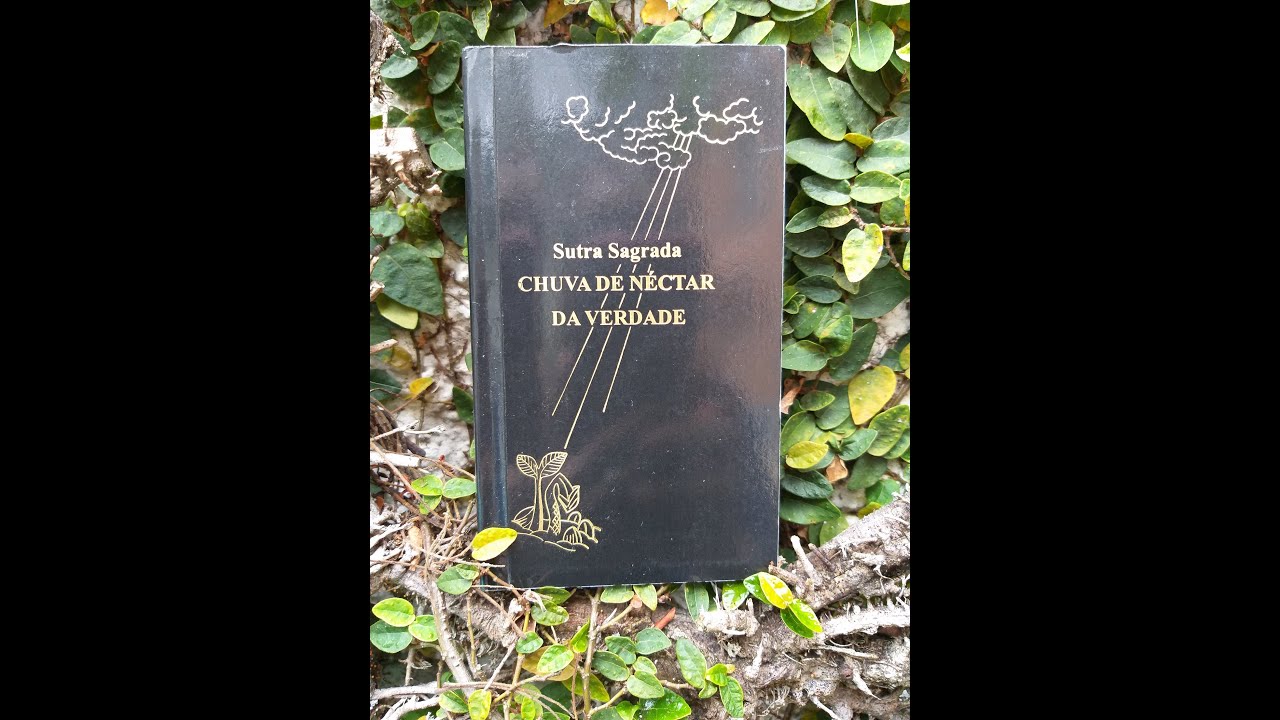 SUTRA SAGRADA completa , CHUVA DE NÉCTAR DA VERDADE .IGREJA SEICHONOIE YouTube SUTRA SAGRADA completa , CHUVA DE NÉCTAR DA VERDADE .IGREJA SEICHONOIE YouTube