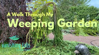 Weeping Garden