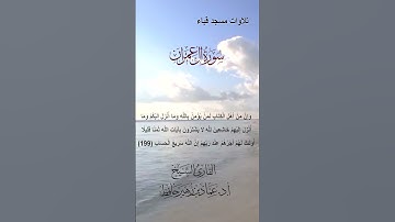 تلاوات مسجد قباء# من سورة آل عمران# الشيخ أ. د عماد بن زهير حافظ
