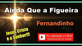 Vídeo de Figueira