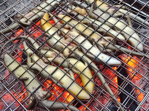 Video Rắn Mối Nướng Muối Ớt,thơm ngon nhậu hết mồi hết bia ở... - youtube