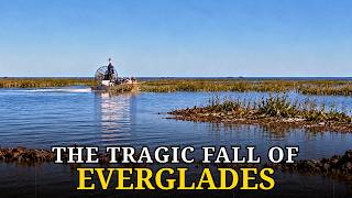 Why America Can't Save Its Last Great Wilderness: Everglades