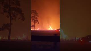 Spring Pine Fire 46 acres Bastrop State Park Texas