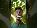 Moringa Powder: The Natural Muscle Booster No One Talks About 🌿💪 (Shocking Results!) #shorts#moringa