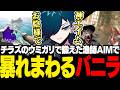 チラズアートで鍛えたAIM力で久々のキラーを満喫して大満足なバニラ【DBD/バニラ/切り抜き】
