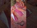 Amazing Deshi Buffalo Meat Super Smooth Cutting Skill In Bd Amazing Deshi Buffalo Meat Super Smooth Cutting Skill In Bd