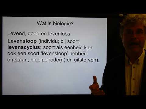 Video: E-beladen Membraandialysatoren Met Vitamine E Verminderen Hemodialyse-ontsteking