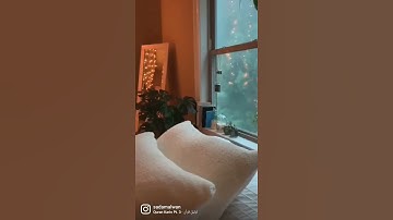 اكتب شيء تؤجر عليه.  حالات واتس قرآن كريم