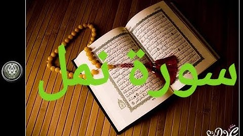 تلاوة ممتعة للشيخ صلاح بو خاطر من سورة نمل