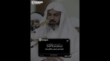 قرآن الكريم بصوت عمر عبدالله اجمل حالات واتس اب دينية سورة الزمر فيديو قصيره 🤍🌿