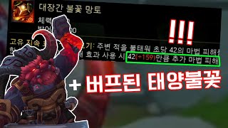 버프된 태양불꽃 + 더 떡상할 오른? [PBE]