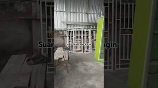 Download Lagu Terallis dan lemari #shortsviral #shortvideo #teralibesi #lemaribesi MP3