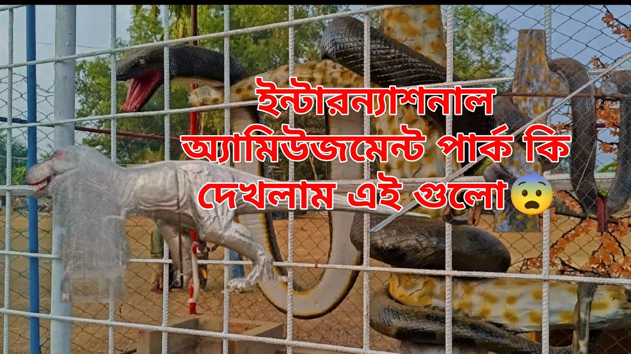 ইন্টারন্যাশনাল অ্যামিউজমেন্ট পার্কে কি কি আছে?