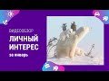 КонсультантКиров видеообзор за январь 2023.