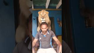 लायन🦁 और आदमी #lion #filter ##tutorial royalviralshot #RoyalYouTubefilter