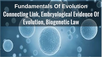 Connecting Link, Embryological Evidence Of Evolution, Biogenetic Law