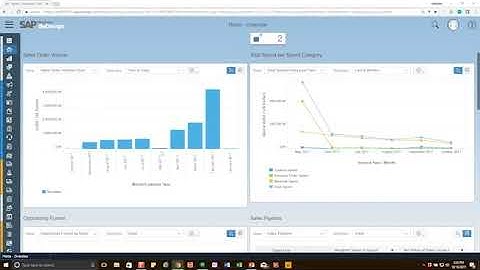 SAP Business ByDesign Home Screen customized reports