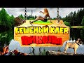 ★Бешеный клёв/Неудачи на рыбалке/Приколы на рыбалке/Смешная рыбалка/Девушки на рыбалке/Рыбалка 2020/