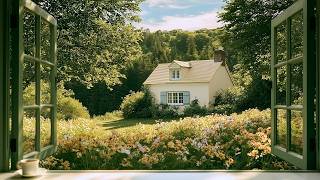 a sunlit morning at the cottage 🌿 soft piano for reading, study & calm mornings screenshot 3