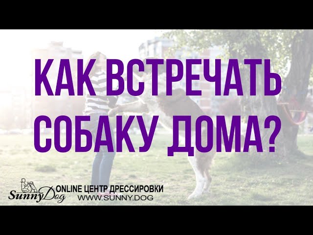 как отучить щенка лаять