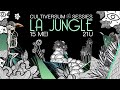 Capture de la vidéo Cultiversum Sessies Iii - La Jungle