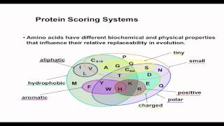 IBB 7: Sequence Alignment