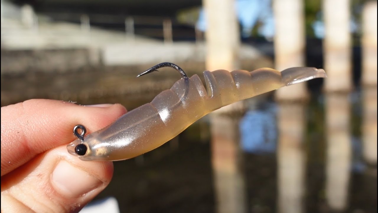 WINTER FISHING in the CANALS  Fishing with the MMD soft prawn