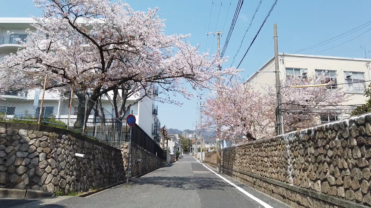 乾石材店発 住吉台〜山手の風景 (バイクにて)　2020年4月