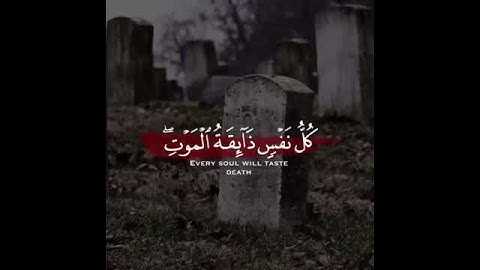 عبد الرحمن مسعد كل نفس ذائقة الموت| القرآن الكريم سورة العنكبوت 💜🍂