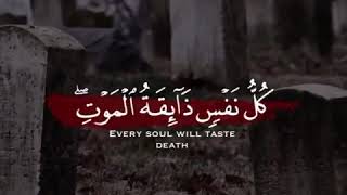 عبد الرحمن مسعد كل نفس ذائقة الموت| القرآن الكريم سورة العنكبوت 💜🍂