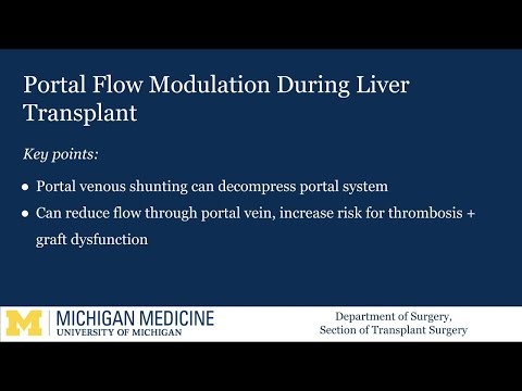 Portal Vein Modulation