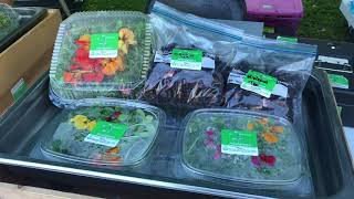 Wwad Virtual Talk, Wil Van Dinter