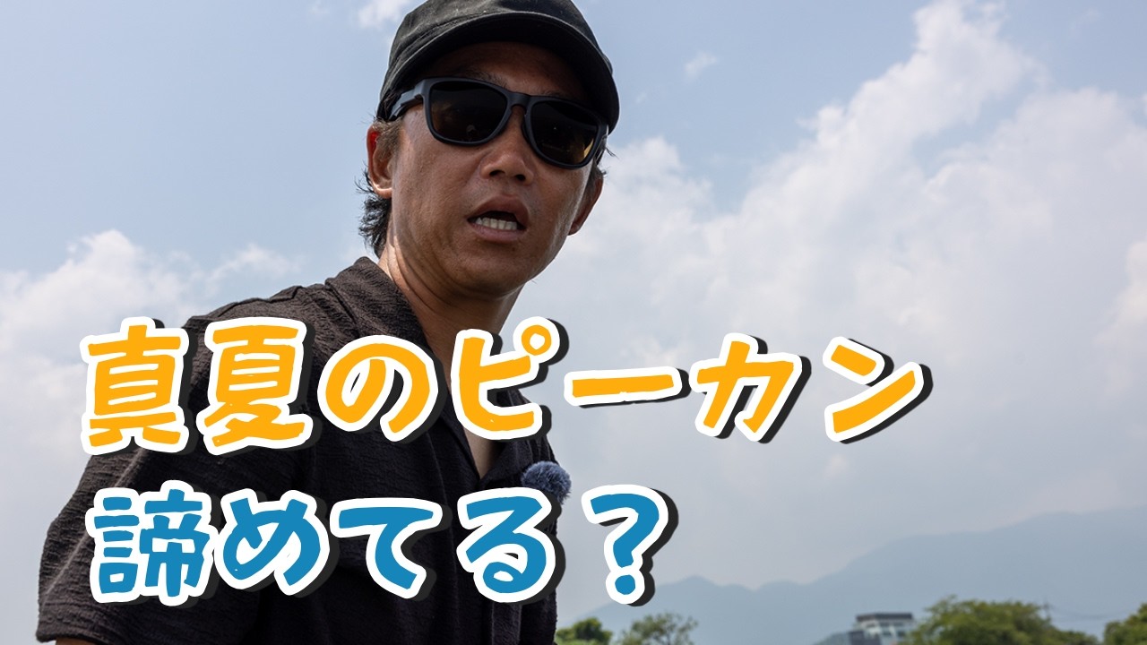 「真夏のピーカンは釣れない」は嘘！プロがデカバスを狂わせる魔法のルアー3選