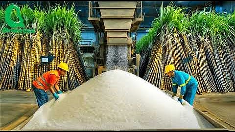 $1,000,000 YouTube Shorts Experiment: Did It Work?