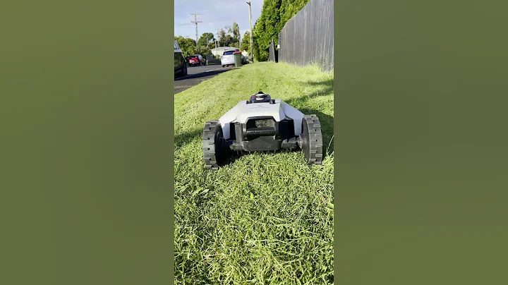 Yuka cutting long grass - DayDayNews