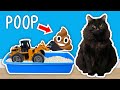 I Built A CAT POOP Cleaning Contraption!